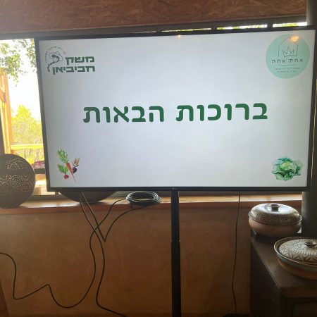 WhatsApp Image 2023-05-11 at 17.38.59