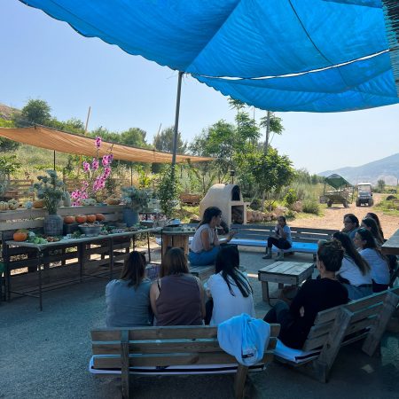 WhatsApp Image 2023-05-11 at 17.39.02